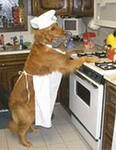 “Собака на кухне…”